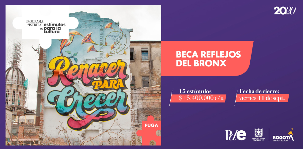 231 millones en estímulos para historias positivas del Bronx