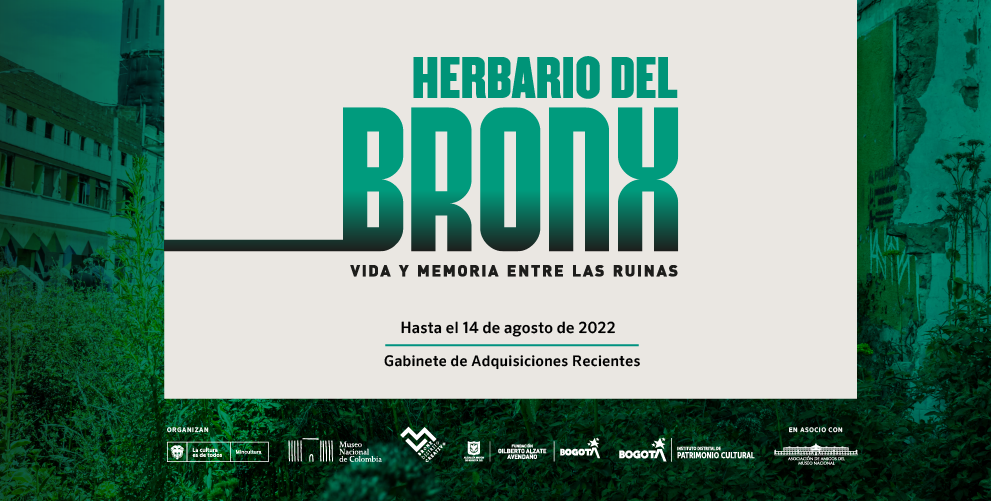 Llega la exposición Herbario del Bronx: vida y memoria entre las ruinas