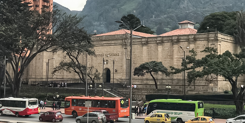 Museo Nacional le rinde homenaje al árbol patrimonial
